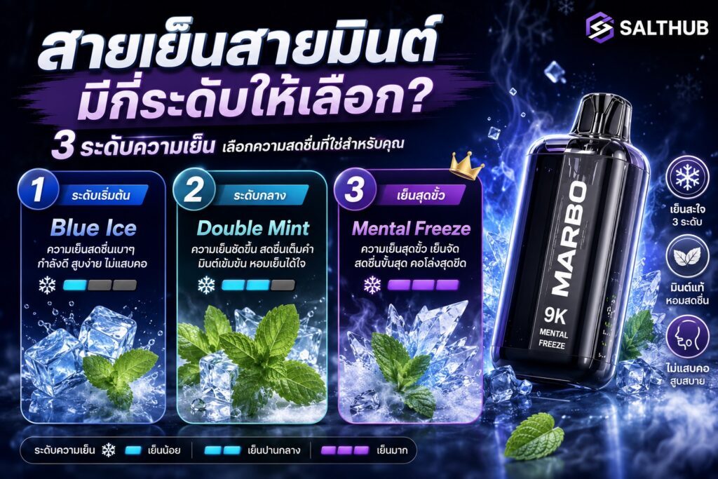 สายเย็นสายมินต์มีกี่ระดับให้เลือก?